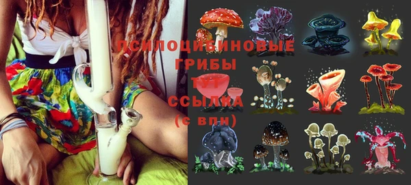 таблы Ельня