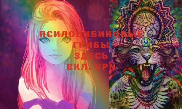 СК Заволжск