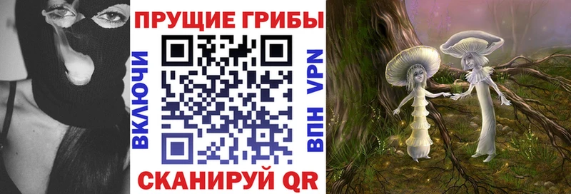 Купить  Красный Холм  Галлюциногенные грибы Cubensis 